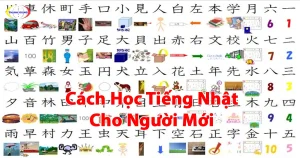 cách học tiếng Nhật cho người mới