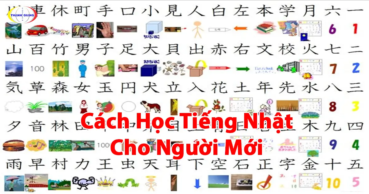 cách học tiếng Nhật cho người mới