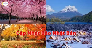 Cập Nhật Bão Nhật Bản