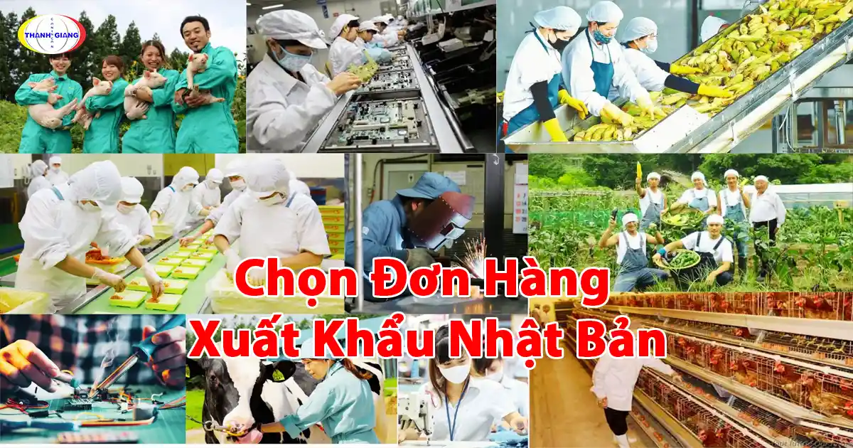 Chọn Đơn Hàng Xuất Khẩu Nhật Bản