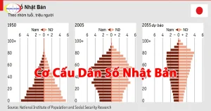 Cơ Cấu Dân Số Nhật Bản