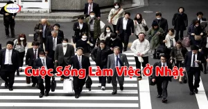 Cuộc Sống Làm Việc Ở Nhật